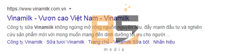 Vinamilk sử dụng Meta Description để giới thiệu đặc điểm của công ty